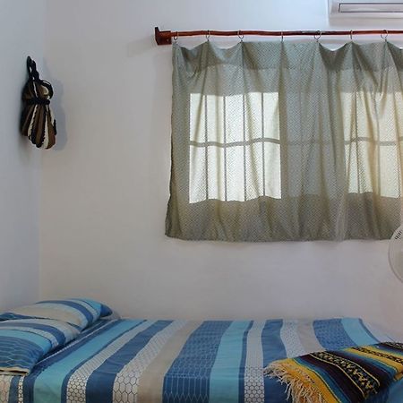 Alicia'S Bed & Breakfast コスメル エクステリア 写真